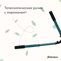 ��������, 22�28.5 (56�73 ��), ���������������, � ������������ �������, � ������, ���� ����, Greengo