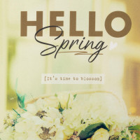   Hello Spring:  40 73 , 
