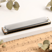   Music Life T2401 ,  