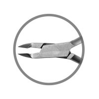  Y Sk 004    (),  5,5 