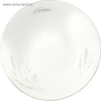  Constance,   ,  , 13 