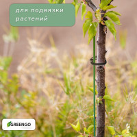   ,     , , Greengo