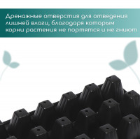   , 21   150 , , , 54 28 7 , Greengo