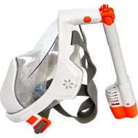     Bradex,   ,  S
