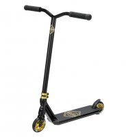 Fuzion Z-series Z300 2020 Black / Gold