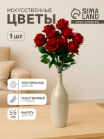    , 8 55 , 