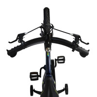  14" Maxiscoo Cosmic  ,   