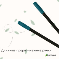 , , 31 (79 ), , Greengo