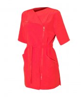 ����� �������������� Milan-red