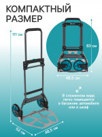   , ,   100 , , , Greengo