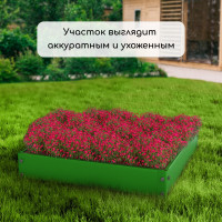  , 50 50 15 , -, Greengo