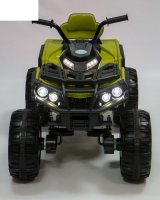  Barty Grizzly 001 44 ( )