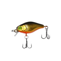 ������ Premier Chabbi, 4 ��, 4.6 �, �����, ��������� (0-0.4 �), ���� 014 (pr-ch40-014)