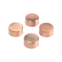 ���������������� (���.1189), D=17 ��, ��� ���������, ���� ����, 4 ��.