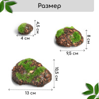  ,  ,   ,  6 ., , Greengo