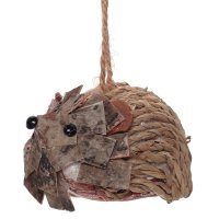 ���������� ��������� ����, � 5 ��