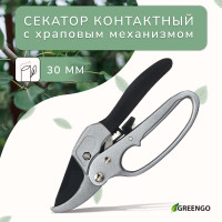  , 8 (20 ),   ,  , Greengo