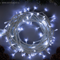   10 , Ip44,  , 100 Led,  , 8 , 220 