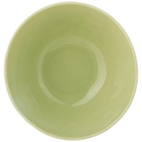 Bronco Avocado 1400  20*9,5  