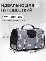 -   ,  S, 37.5 17 22 , 