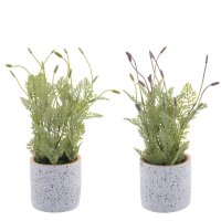 ��������� ����������, L19 W19 H34 ��, 2�.