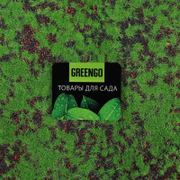  , ,  1 1 , ,   , Greengo