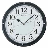  Seiko Qxa734kn