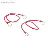     Torso, 80 , D8 ,  , ,  2 