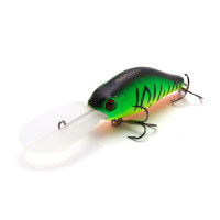  Namazu Guttatus, L-65 , 15 , , , 3.5-5.0 ,  2