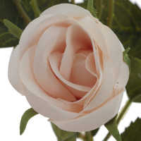   , L27 W21 H68 