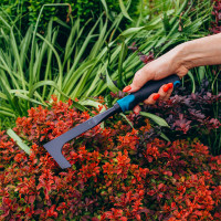 ���� �������, ����� 30 ��, ������������ ������������� �����, Greengo