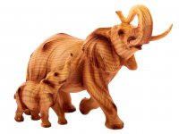 ������� ������������ "�����" 26*11*18��