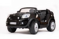 Mini Beachcomber (  ) -