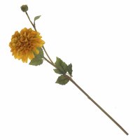 ������������� ������ ��������, 66�11��, 6�