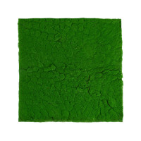  , ,  1 1 , , ,   , Greengo