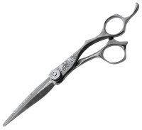    Dama Integral 6.2