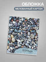  96   , Calligrata  2, 