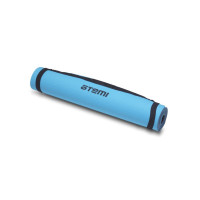      Atemi Aym13b, Tpe, 173610,4 , -