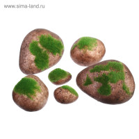  ,  , ,  6 ., , Greengo