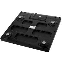   Brayer Br3736, ,  180 , 4 (  ), 