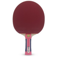    Atemi Pro 2000 Cv