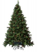  Royal Christmas Phoenix 210 