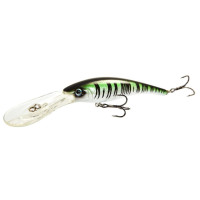  . Lj Original Deep Shiner, F, 11 ,  A024