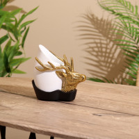 ���� "�����" �������� 14�6,5�14 ��