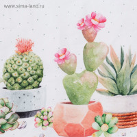    220147 , 100% ,  160 /2