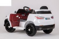  Barty Bmw X5 Vip ,  Eva (),  