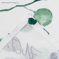  "" Eucalyptus 180144 , 100% , 164 /2