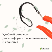  , 7 (18 ),   , Greengo