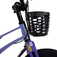  16 Maxiscoo Air Pro,   