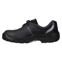    Prosafe Basic 23,  ,  43